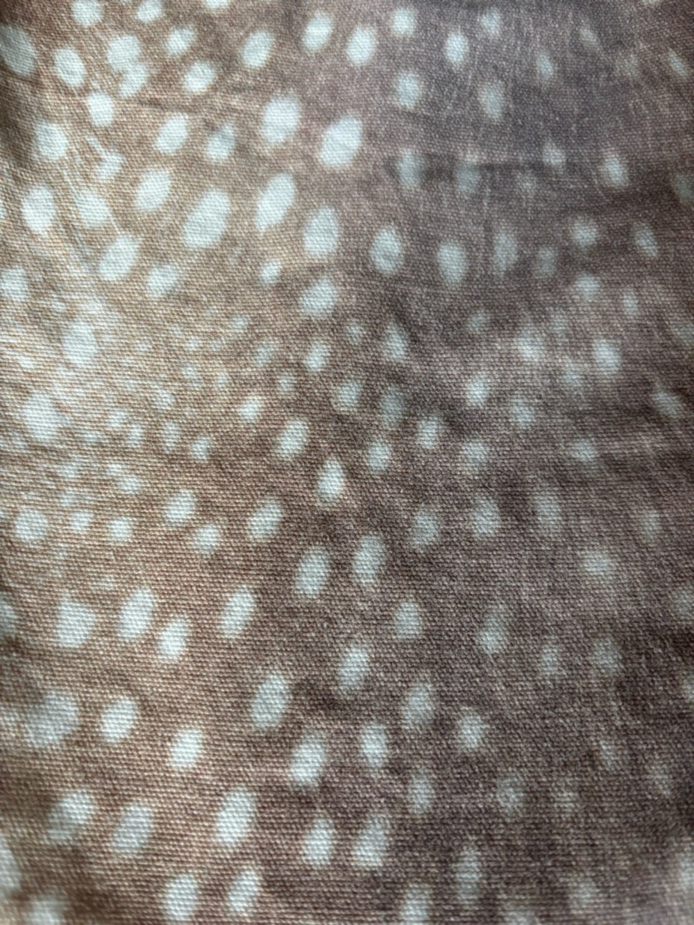 BDG Fawn Pattern Denim Jeans - Picture 8 of 9